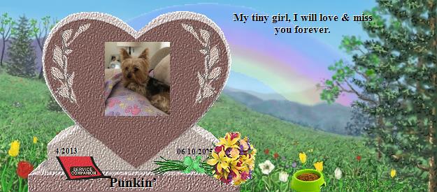 Punkin&rsquo;'s Rainbow Bridge Pet Loss Memorial Residency Image