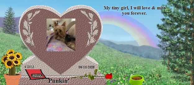 Punkin&rsquo;'s Rainbow Bridge Pet Loss Memorial Residency Image