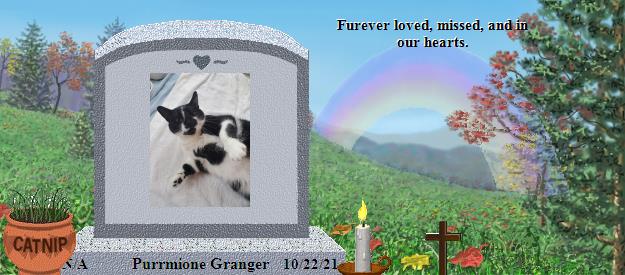 Purrmione Granger's Rainbow Bridge Pet Loss Memorial Residency Image