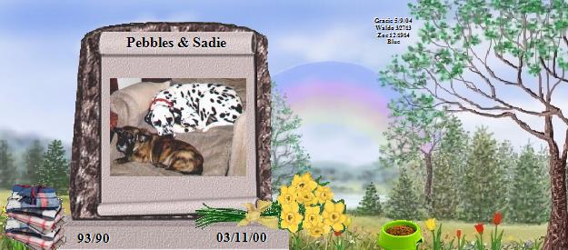 Pebbles & Sadie's Rainbow Bridge Pet Loss Memorial Residency Image