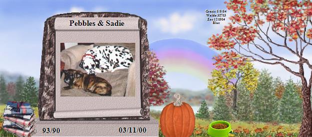 Pebbles & Sadie's Rainbow Bridge Pet Loss Memorial Residency Image