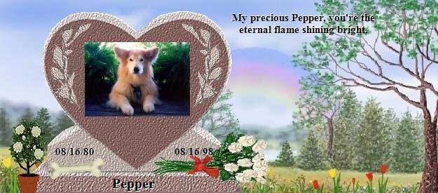 Pepper's Rainbow Bridge Pet Loss Memorial Residency Image