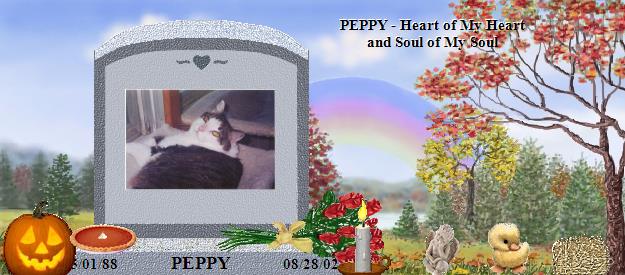 PEPPY's Rainbow Bridge Pet Loss Memorial Residency Image