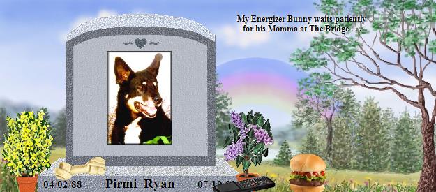 Pirmi  Ryan's Rainbow Bridge Pet Loss Memorial Residency Image