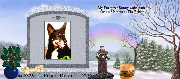 Pirmi  Ryan's Rainbow Bridge Pet Loss Memorial Residency Image