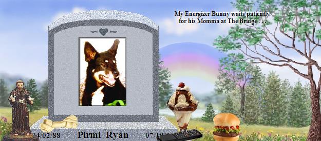 Pirmi  Ryan's Rainbow Bridge Pet Loss Memorial Residency Image