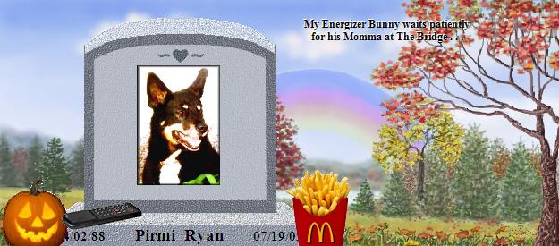 Pirmi  Ryan's Rainbow Bridge Pet Loss Memorial Residency Image