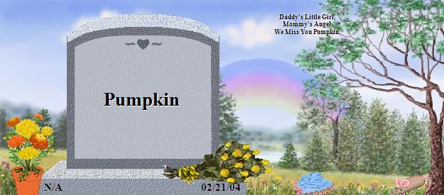 Pumpkin's Rainbow Bridge Pet Loss Memorial Residency Image