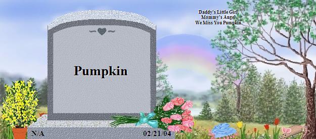Pumpkin's Rainbow Bridge Pet Loss Memorial Residency Image
