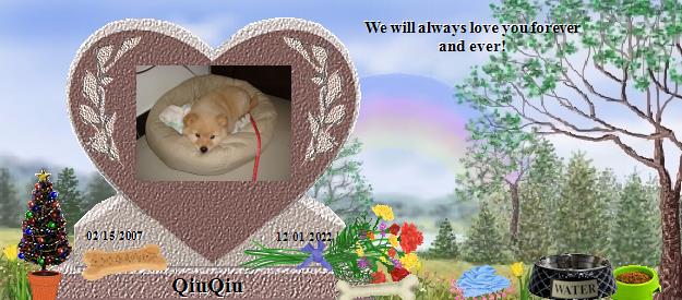 QiuQiu's Rainbow Bridge Pet Loss Memorial Residency Image