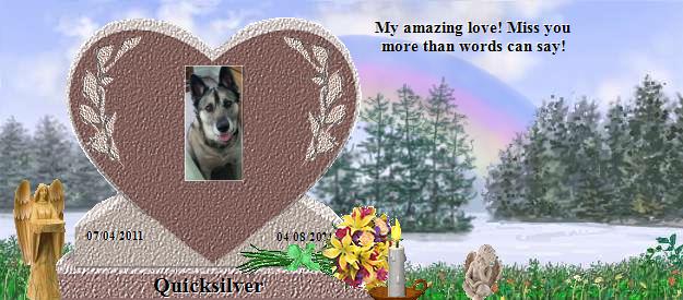 Quicksilver's Rainbow Bridge Pet Loss Memorial Residency Image