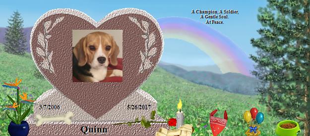 Quinn's Rainbow Bridge Pet Loss Memorial Residency Image