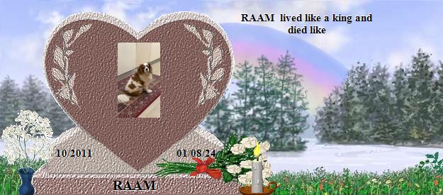 RAAM's Rainbow Bridge Pet Loss Memorial Residency Image