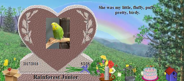 Rainforest Junior's Rainbow Bridge Pet Loss Memorial Residency Image
