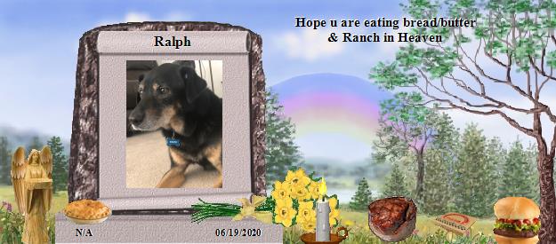 Ralph's Rainbow Bridge Pet Loss Memorial Residency Image