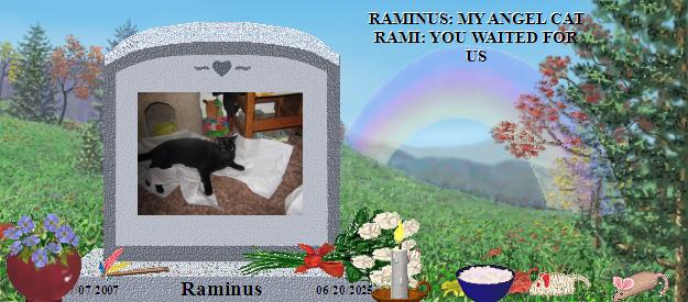 Raminus's Rainbow Bridge Pet Loss Memorial Residency Image