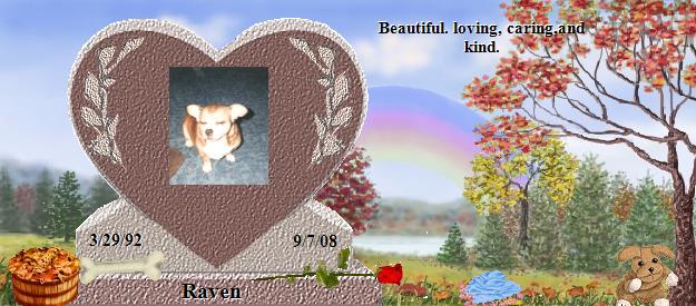 Raven's Rainbow Bridge Pet Loss Memorial Residency Image