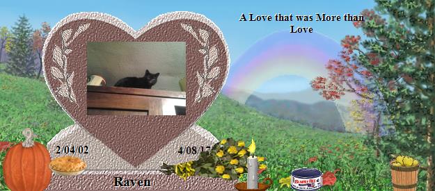 Raven's Rainbow Bridge Pet Loss Memorial Residency Image