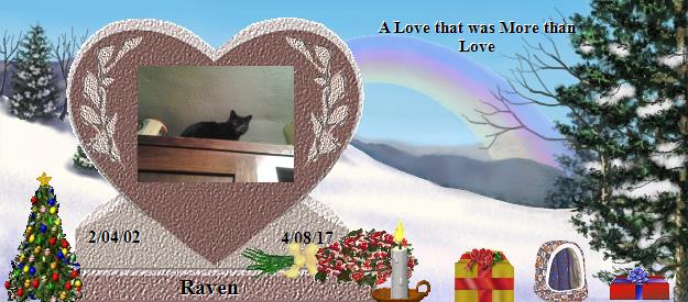 Raven's Rainbow Bridge Pet Loss Memorial Residency Image