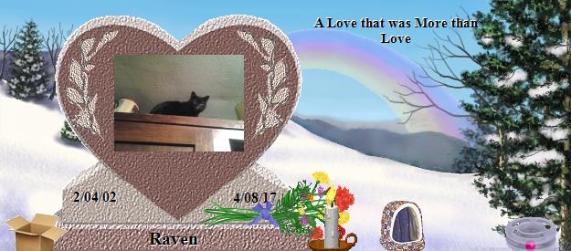 Raven's Rainbow Bridge Pet Loss Memorial Residency Image