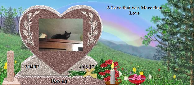 Raven's Rainbow Bridge Pet Loss Memorial Residency Image
