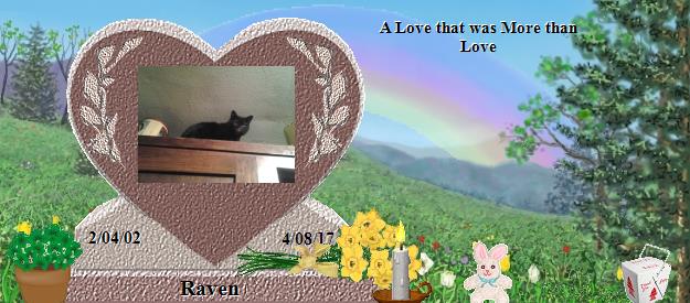 Raven's Rainbow Bridge Pet Loss Memorial Residency Image
