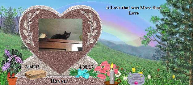 Raven's Rainbow Bridge Pet Loss Memorial Residency Image