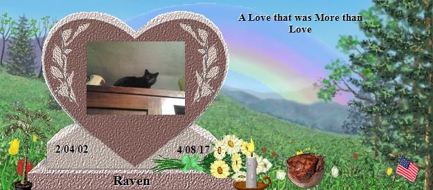 Raven's Rainbow Bridge Pet Loss Memorial Residency Image