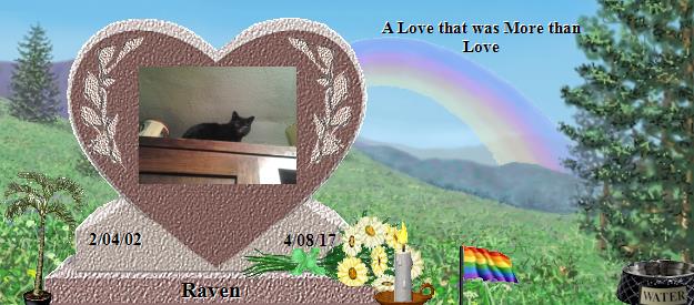 Raven's Rainbow Bridge Pet Loss Memorial Residency Image