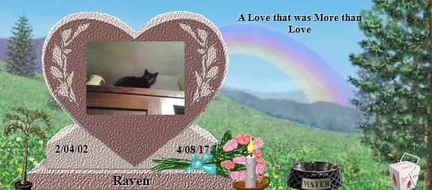 Raven's Rainbow Bridge Pet Loss Memorial Residency Image