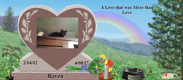 Raven's Rainbow Bridge Pet Loss Memorial Residency Image