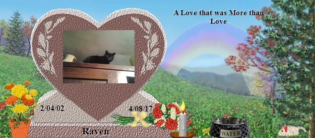 Raven's Rainbow Bridge Pet Loss Memorial Residency Image