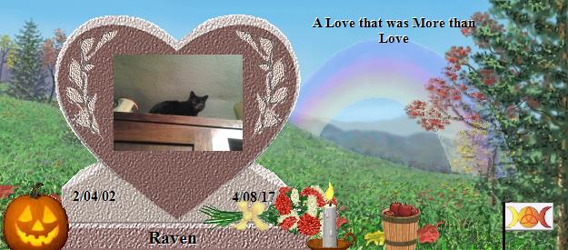 Raven's Rainbow Bridge Pet Loss Memorial Residency Image