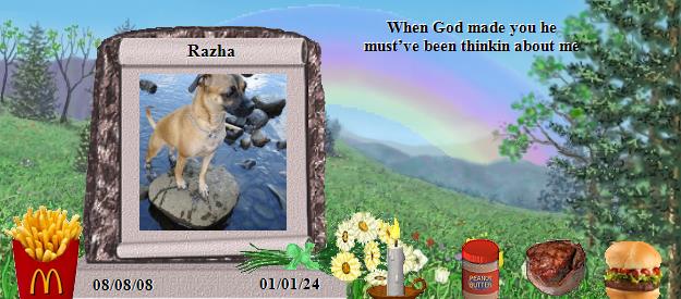 Razha's Rainbow Bridge Pet Loss Memorial Residency Image