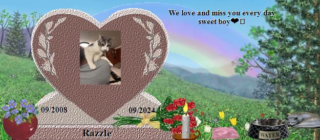 Razzle's Rainbow Bridge Pet Loss Memorial Residency Image