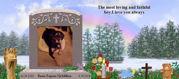 Reese Eugene McMillion's Rainbow Bridge Pet Loss Memorial Residency Image