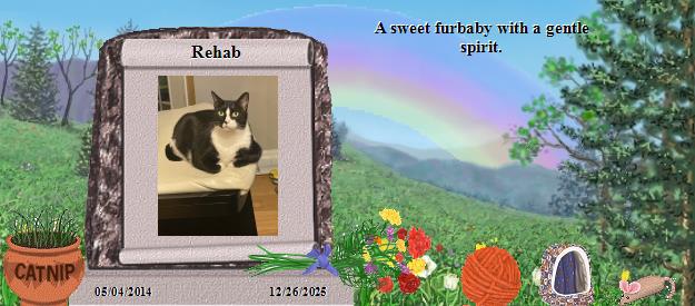 Rehab's Rainbow Bridge Pet Loss Memorial Residency Image