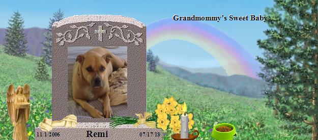 Remi's Rainbow Bridge Pet Loss Memorial Residency Image