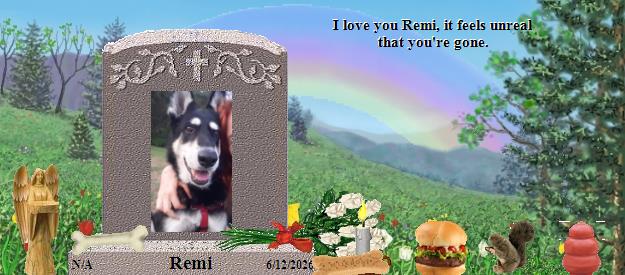 Remi's Rainbow Bridge Pet Loss Memorial Residency Image