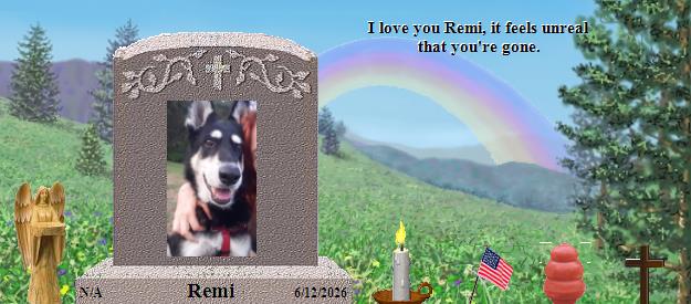 Remi's Rainbow Bridge Pet Loss Memorial Residency Image