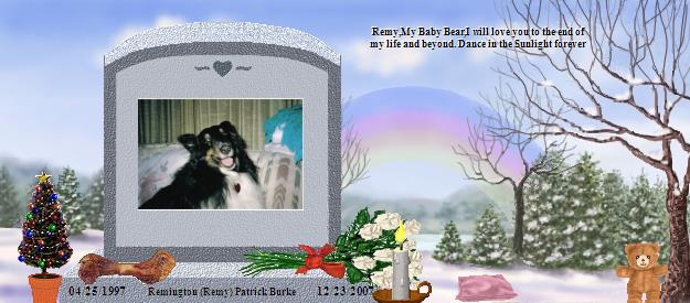 Remington (Remy) Patrick Burke's Rainbow Bridge Pet Loss Memorial Residency Image
