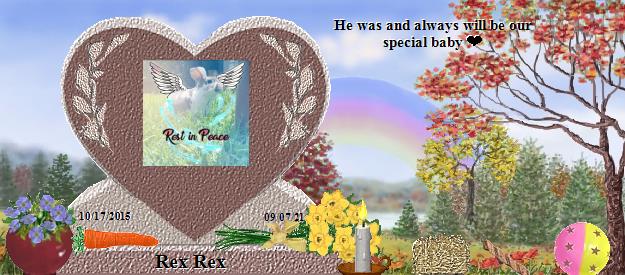 Rex Rex's Rainbow Bridge Pet Loss Memorial Residency Image