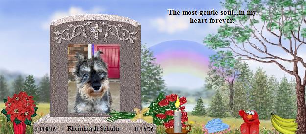 Rheinhardt Schultz's Rainbow Bridge Pet Loss Memorial Residency Image