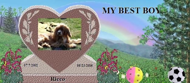 Ricco's Rainbow Bridge Pet Loss Memorial Residency Image