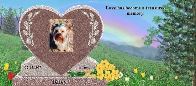 Riley's Rainbow Bridge Pet Loss Memorial Residency Image