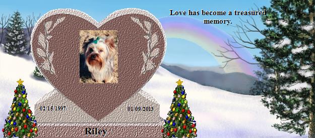 Riley's Rainbow Bridge Pet Loss Memorial Residency Image