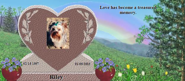 Riley's Rainbow Bridge Pet Loss Memorial Residency Image