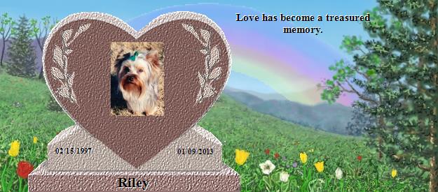 Riley's Rainbow Bridge Pet Loss Memorial Residency Image