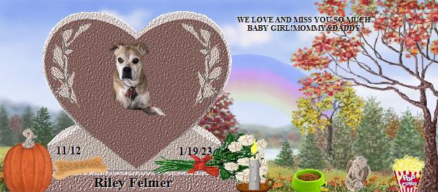 Riley Felmer's Rainbow Bridge Pet Loss Memorial Residency Image