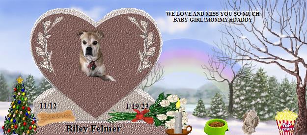 Riley Felmer's Rainbow Bridge Pet Loss Memorial Residency Image